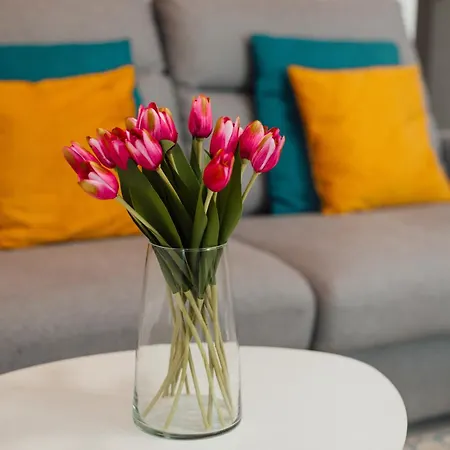 Apartment Bellini Living